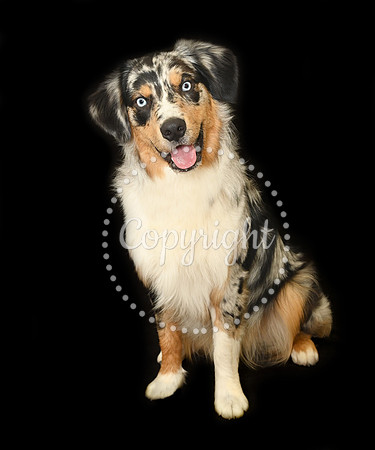 JFH_3344 copy