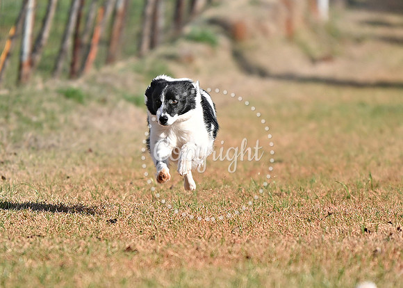 DSC_0602 CD