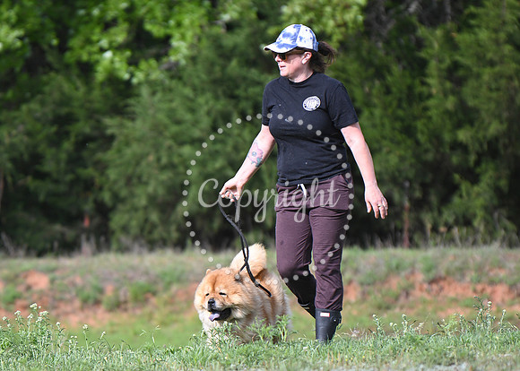 DSC_2491 C