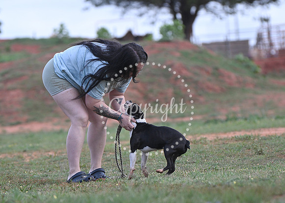 DSC_1499 C