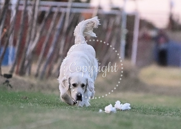 FRI_5422