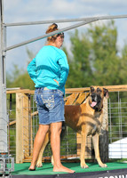 Dog Dock Diving