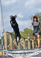 Dog Dock Diving