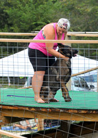 Dog Dock Diving