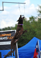Dog Dock Diving