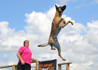 Dog Dock Diving